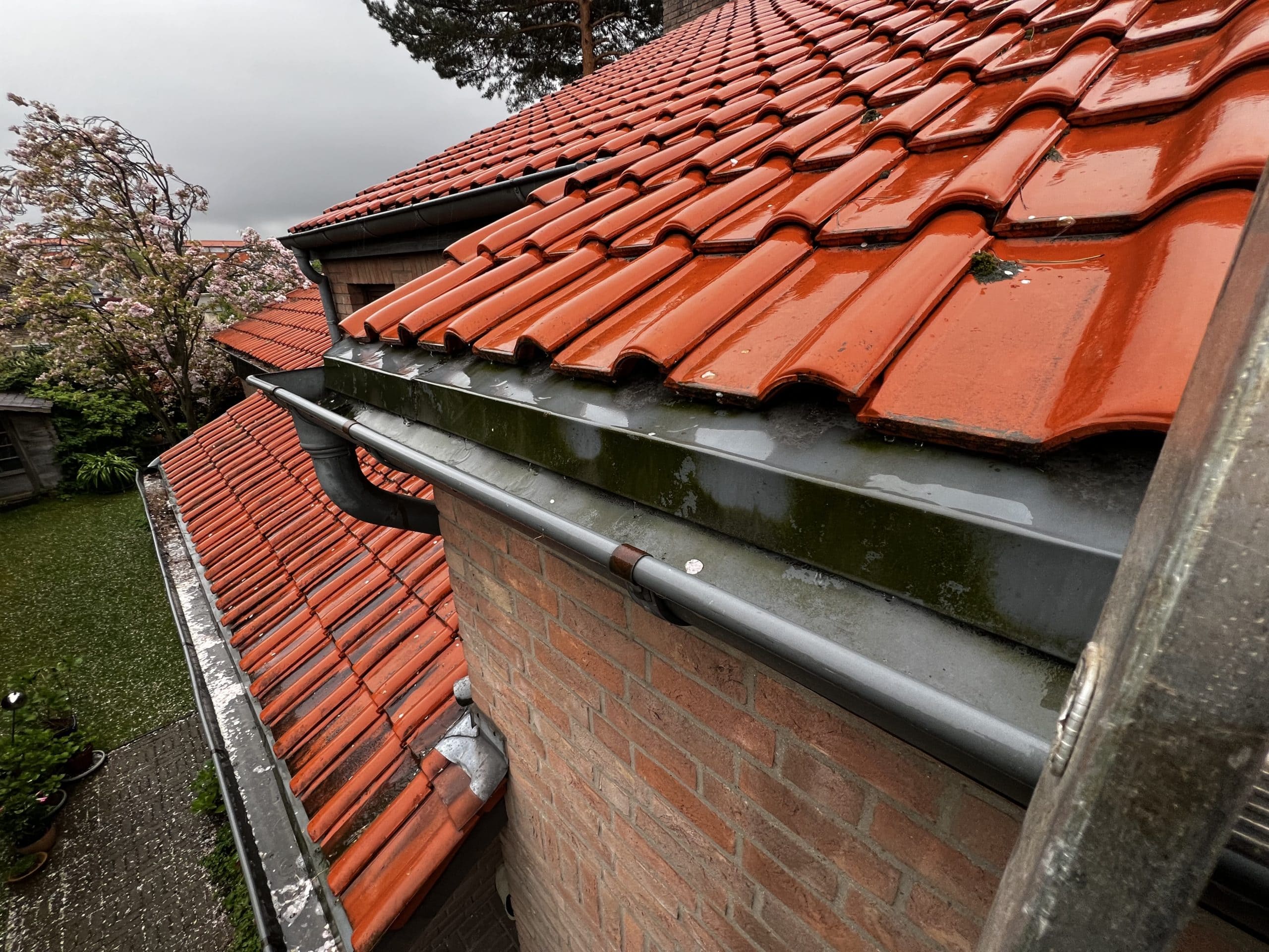 Dachrinnen Reinigen
